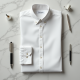 Women Clean Look Formal Shirt